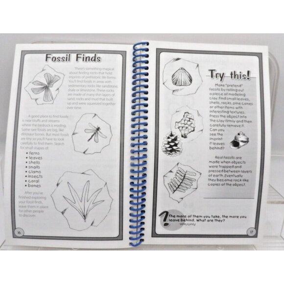 S'Mores Campfire Fun by CQ Products ©2008 Publ. G & R Publications Kids Activity - Picture 5 of 14